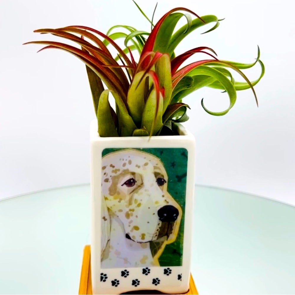 ENGLISH SETTER DOG Art Hand Crafted Home Decor Planter Office Organizer Pet Gift